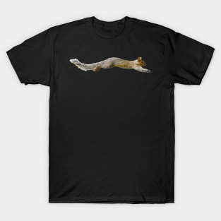 Gray Squirrel Leaping Grey Squirrels T-Shirt